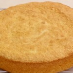 sponge cake (550x344)