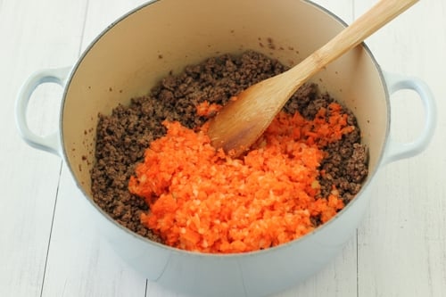 Pasta Sauce Food Processor Carrots Celery Pasta Sauce Food Processor Carrots Celery