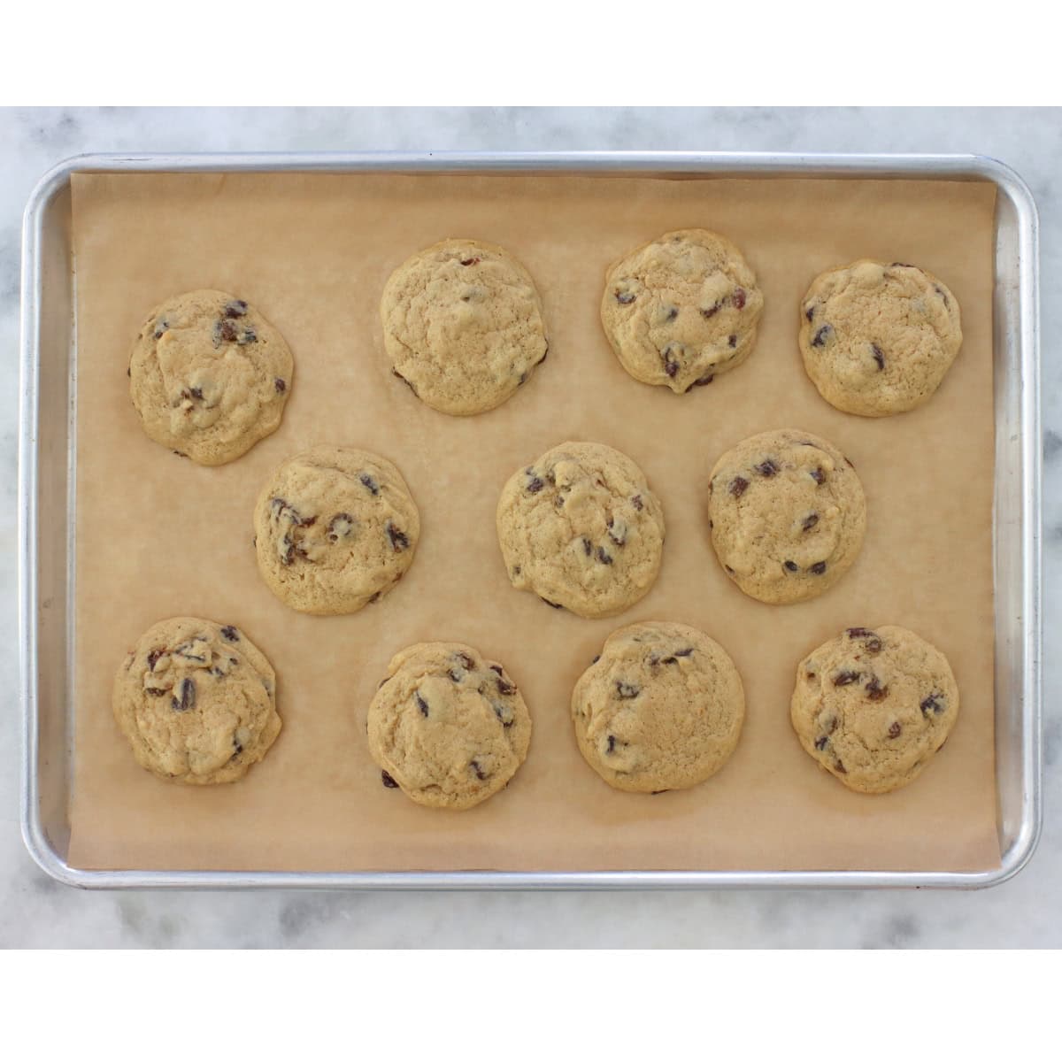 Soft Raisin cookies on a baking sheet after baking.