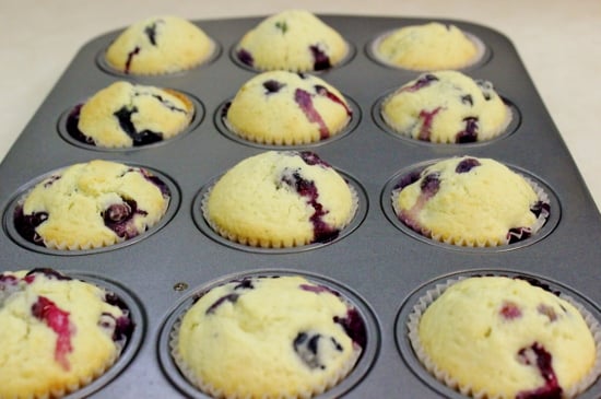 Blueberry Coffee Cake Muffins IMG 0293 550x365