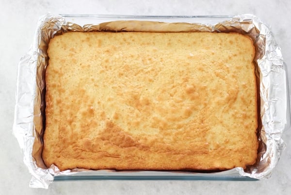 Raspberry Piece of Cake Cake -1-19