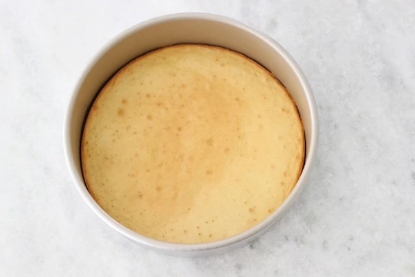 Smetannik Cake-1-10