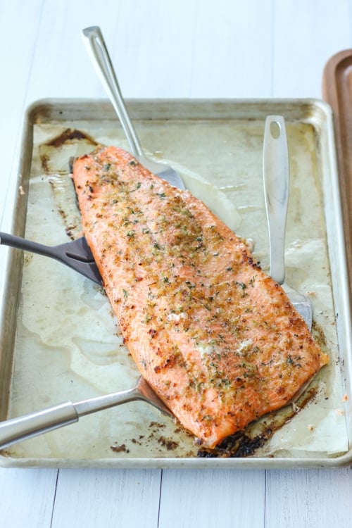 How to Cook Baked Steelhead Trout Fillet