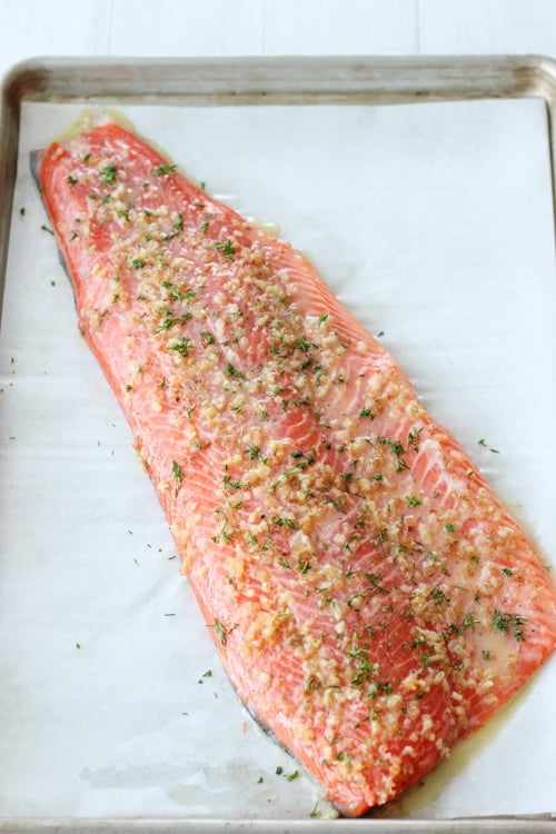 Baked Steelhead Trout Fillet-1-8