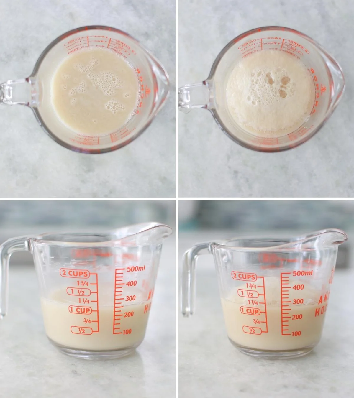 How to check if yeast is still active - in a glass measuring cup.