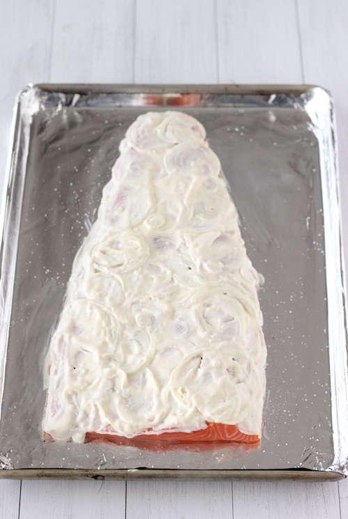 Cheesy Baked Salmon-1-4