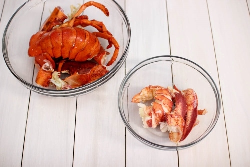 Cooked Lobster (500x334)