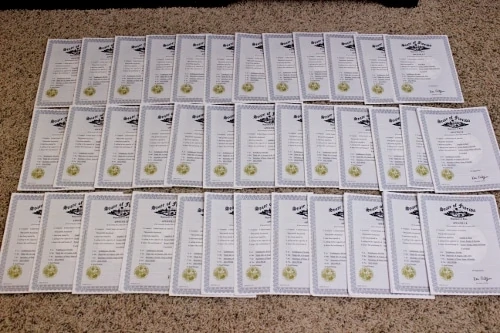 All the documents that we needed to notarize and apostille for the Russian adoption.