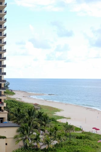 IMG_7631 (333x500)