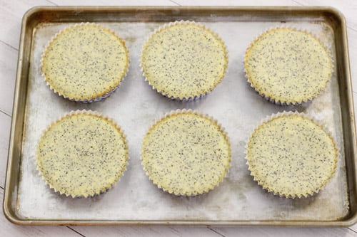 Lemon Poppy Seed Cakes-1-32