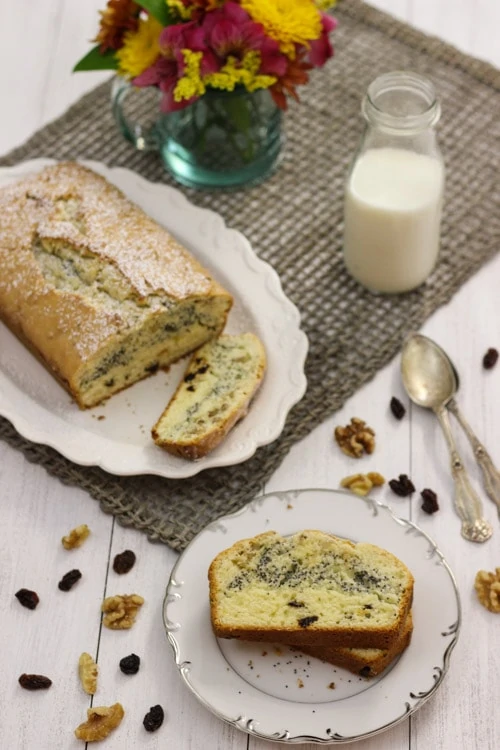 Raisin, Poppy Seed and Nut Loaf-1-22