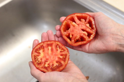 How To Seed Tomatoes-1-10