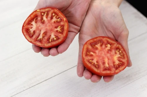How To Seed Tomatoes-1-2