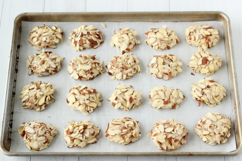 Almond Cookies-1-7