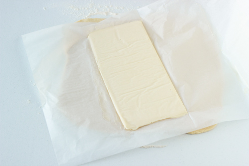 Danish Pastry Dough-1-11