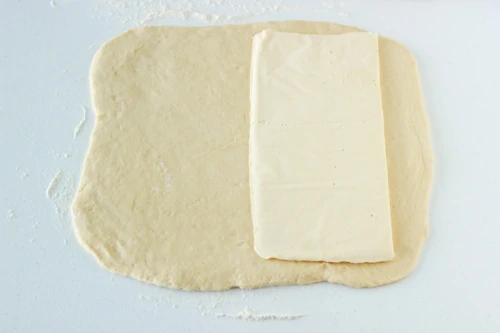 Danish Pastry Dough-1-12