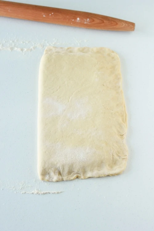 Danish Pastry Dough-1-13