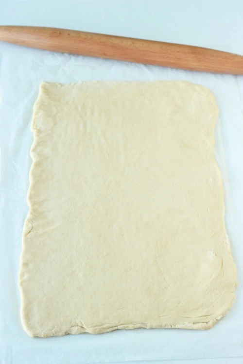 Danish Pastry Dough-1-14