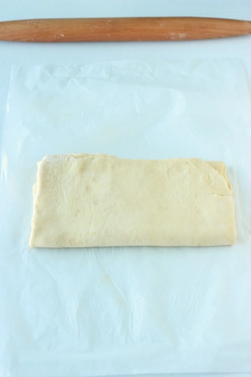Danish Pastry Dough-1-16