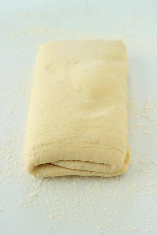 Danish Pastry Dough-1-21