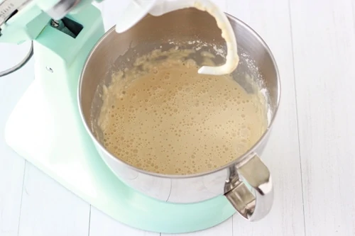 Danish Pastry Dough-1-7