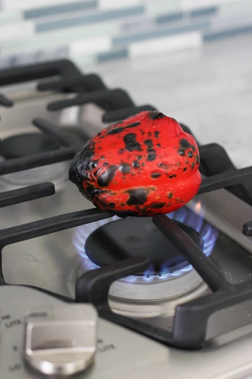 Gas Cooktop-1