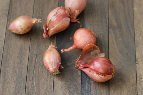 Onions and Garlic-1-10