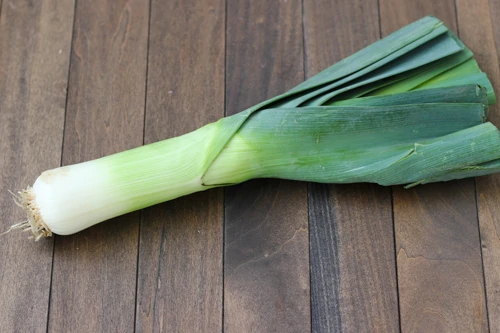 Onions and Garlic-1-5