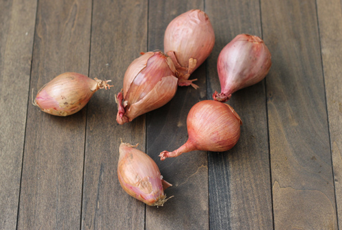 Onions and Garlic-1-8