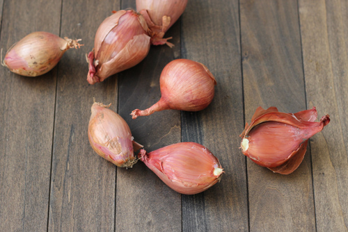 Onions and Garlic-1-9
