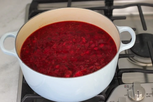 Vegetarian Borsch-1-12