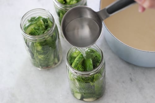 Dill Pickle Spears-1-7