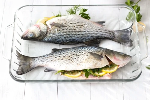 Striped Bass With Tomatoe and Herbs-1-4