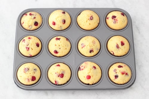 Cranberry Orange Muffins-1-31