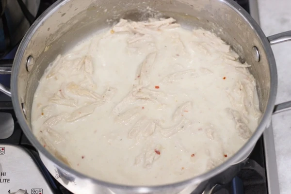 Roasted Garlic Sauce Campanelle-1-23