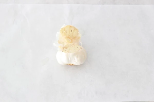 Roasted Garlic Sauce Campanelle-1-31