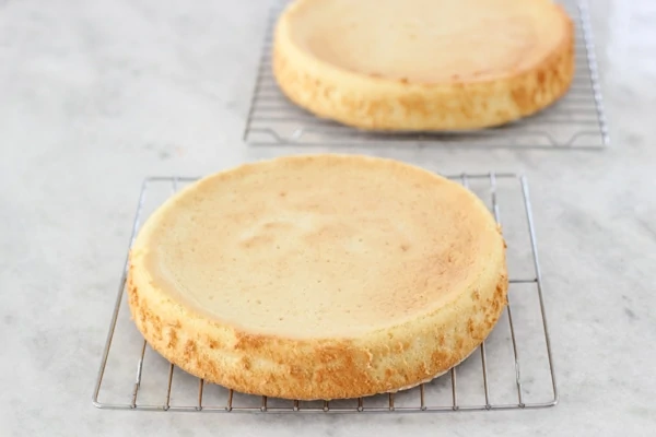 Mandarin Orange Cake-1-42