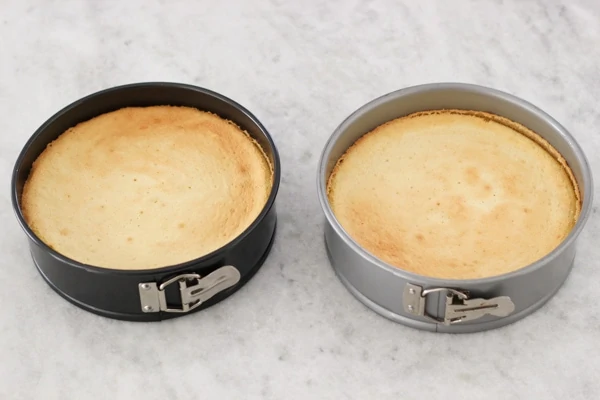 Mandarin Orange Cake-1-43