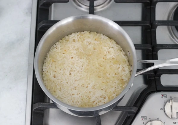 Salmon and Rice Burritos-1-22