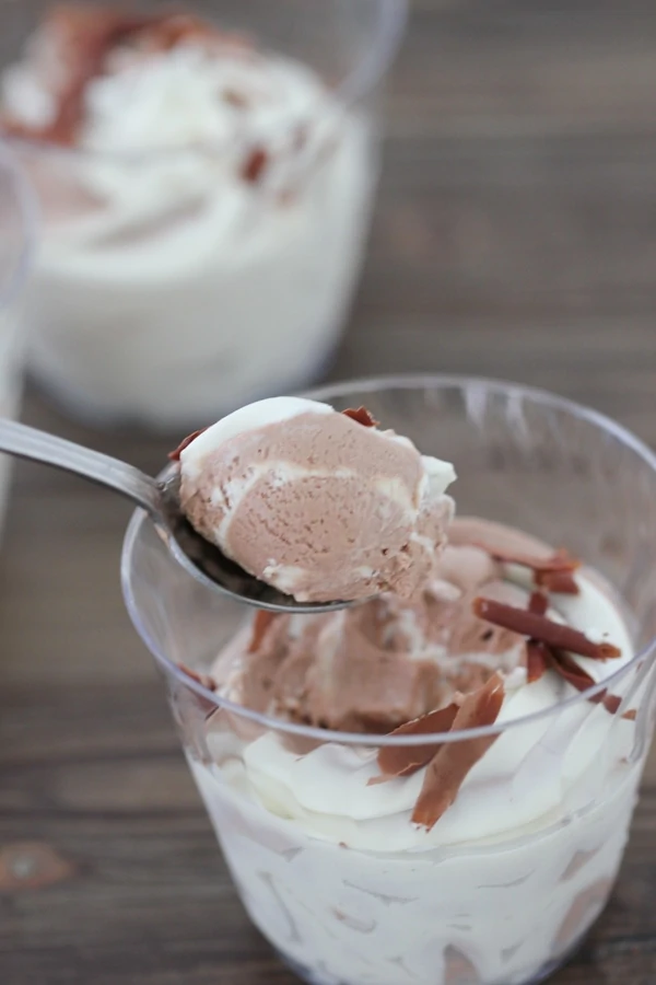 Creamy Vanilla and Chocolate Swirl Ice Cream-1-13