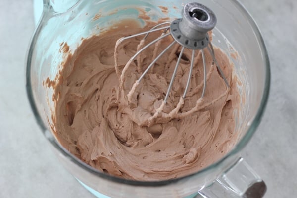 Creamy Vanilla and Chocolate Swirl Ice Cream-1-20