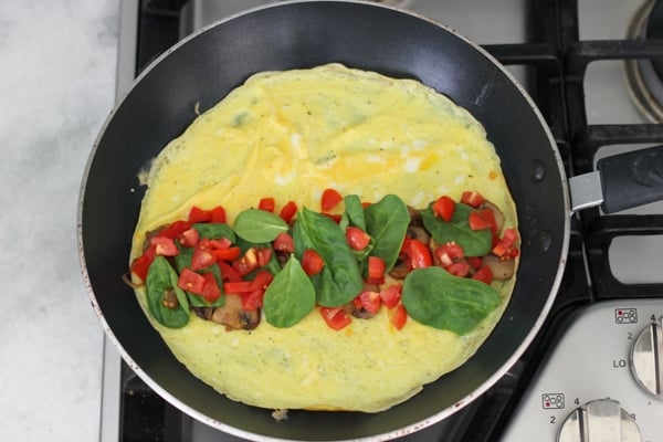 Deluxe Veggie Omelet-1-15
