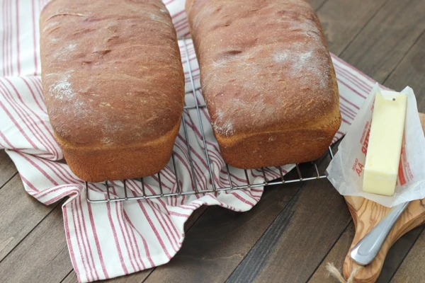 Whole Wheat Bread-1-20