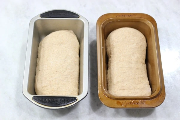 Whole Wheat Bread-12