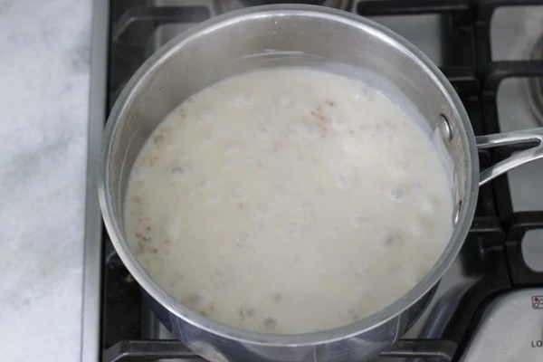 Butternut Squash and Apple Oatmeal-7