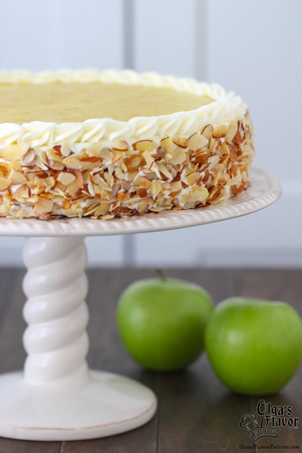 Apple Almond Cake-28