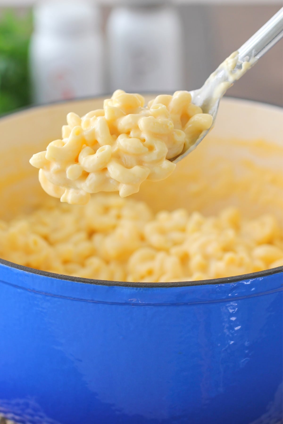 Homemade Macaroni and Cheese 1 Olga's Flavor Factory