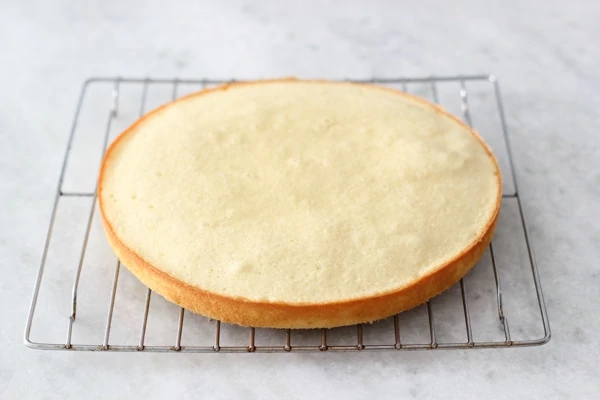 Vanilla Souffle Cake-1-26