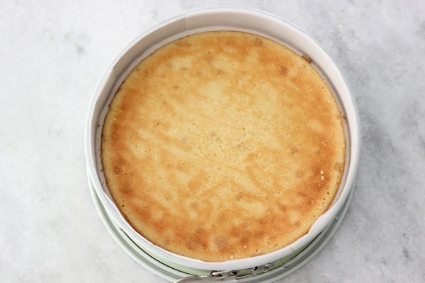 Vanilla Souffle Cake-13