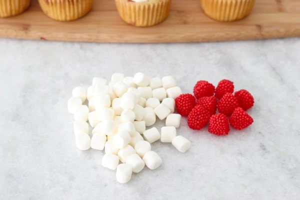 Raspberry Swirl Cupcakes-13